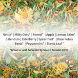 Angel Herbal Tea | Sacred Blossom Farm | 2 oz. Loose Leaf Tisane | Soothing and Nourishing | Organically Grown in Wisconsin | Herbal Tea & Medicinal