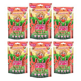 Bubblegum Kids Theo’s Wacky Watermelon Sugar Free Gum | Watermelon Flavor, Sugarless Gum with Xylitol | Vegan, Low Calorie Candy for Kids & Adults |
