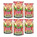 Bubblegum Kids Theo’s Wacky Watermelon Sugar Free Gum | Watermelon Flavor, Sugarless Gum with Xylitol | Vegan, Low Calorie Candy for Kids & Adults |