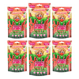 Bubblegum Kids Theo’s Wacky Watermelon Sugar Free Gum | Watermelon Flavor, Sugarless Gum with Xylitol | Vegan, Low Calorie Candy for Kids & Adults |
