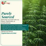 NY Spice Shop Horsetail Shavegrass Powder - 1 Pound Horsetail Shavegrass Ground Herbal Ingredient - Traditional Equisetum Arvense - Mild Plant