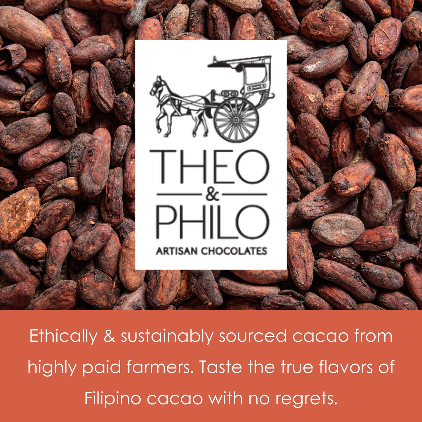 Theo & Philo Calamansi 65% Dark Chocolate 3 Pack - Filipino Chocolate - Bean-to-Bar, Direct Sourced, Made at Origin, Single Origin, Woman Owned, BIPOC