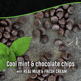 Breyers Ice Cream for a Delicious Frozen Treat Mint Chocolate Chip Made with 100% Grade A Milk & Cream 48 oz