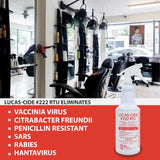 LUCAS-CIDE #222 RTU Hospital-Grade Salon and Spa 60 Second Disinfectant 32 Fl Oz