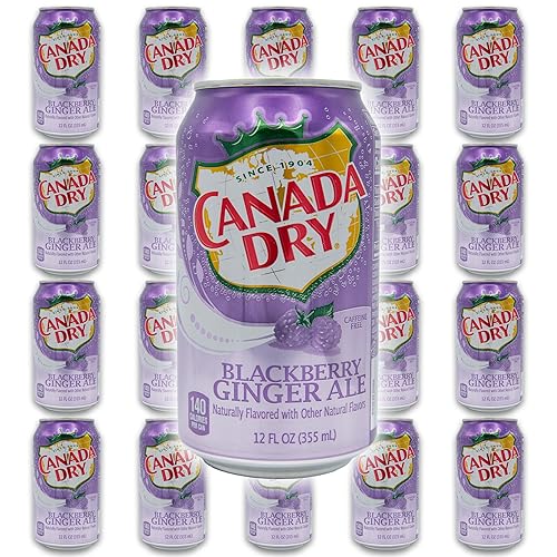 Blackberry Ginger Ale Bundle - Includes 20 Blackberry Ginger Ale cans of 12 oz each by Canada dry Ginger Ale - Ginger Ale Soda Bundle by Despensa