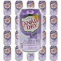 Blackberry Ginger Ale Bundle - Includes 20 Blackberry Ginger Ale cans of 12 oz each by Canada dry Ginger Ale - Ginger Ale Soda Bundle by Despensa