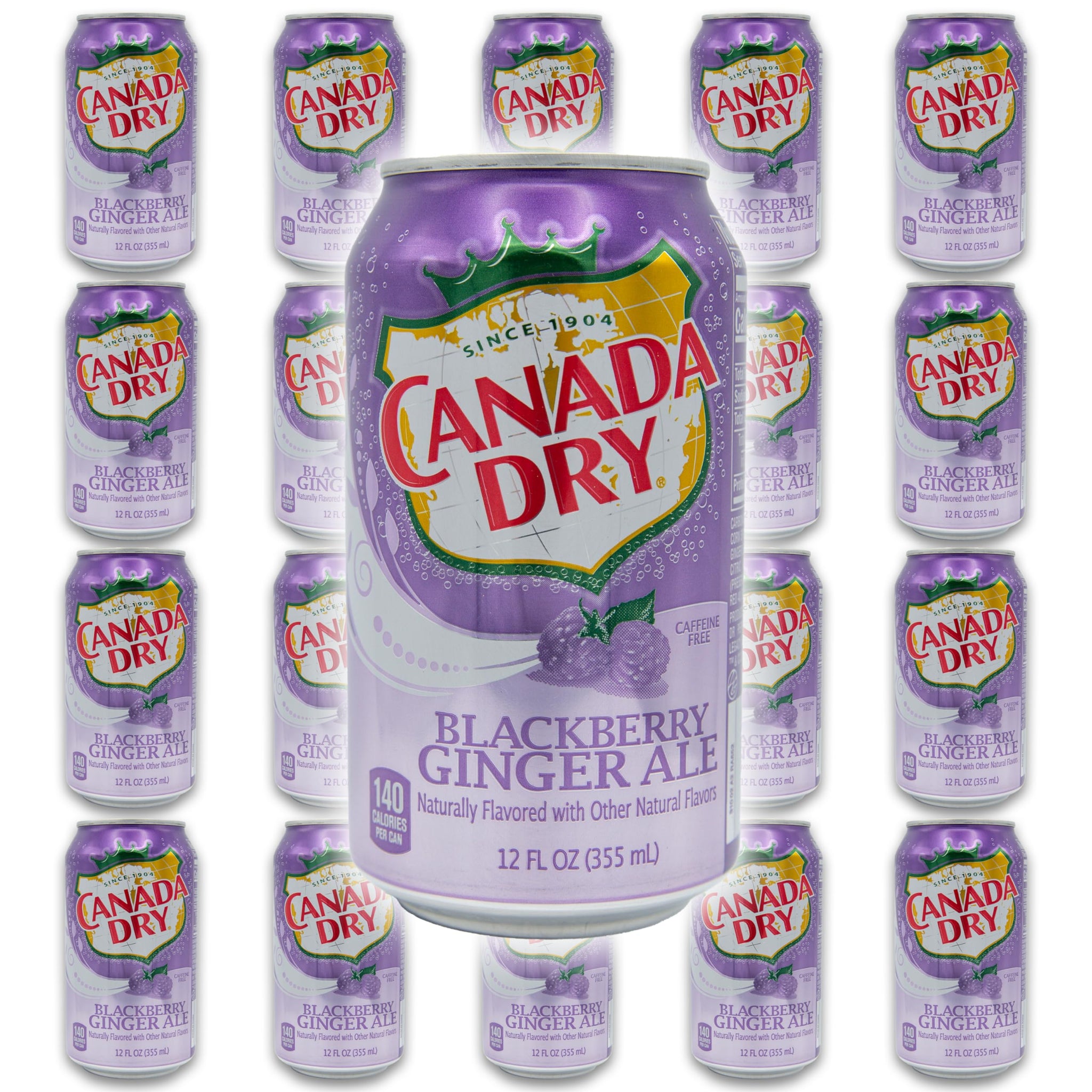 Blackberry Ginger Ale Bundle - Includes 20 Blackberry Ginger Ale cans of 12 oz each by Canada dry Ginger Ale - Ginger Ale Soda Bundle by Despensa