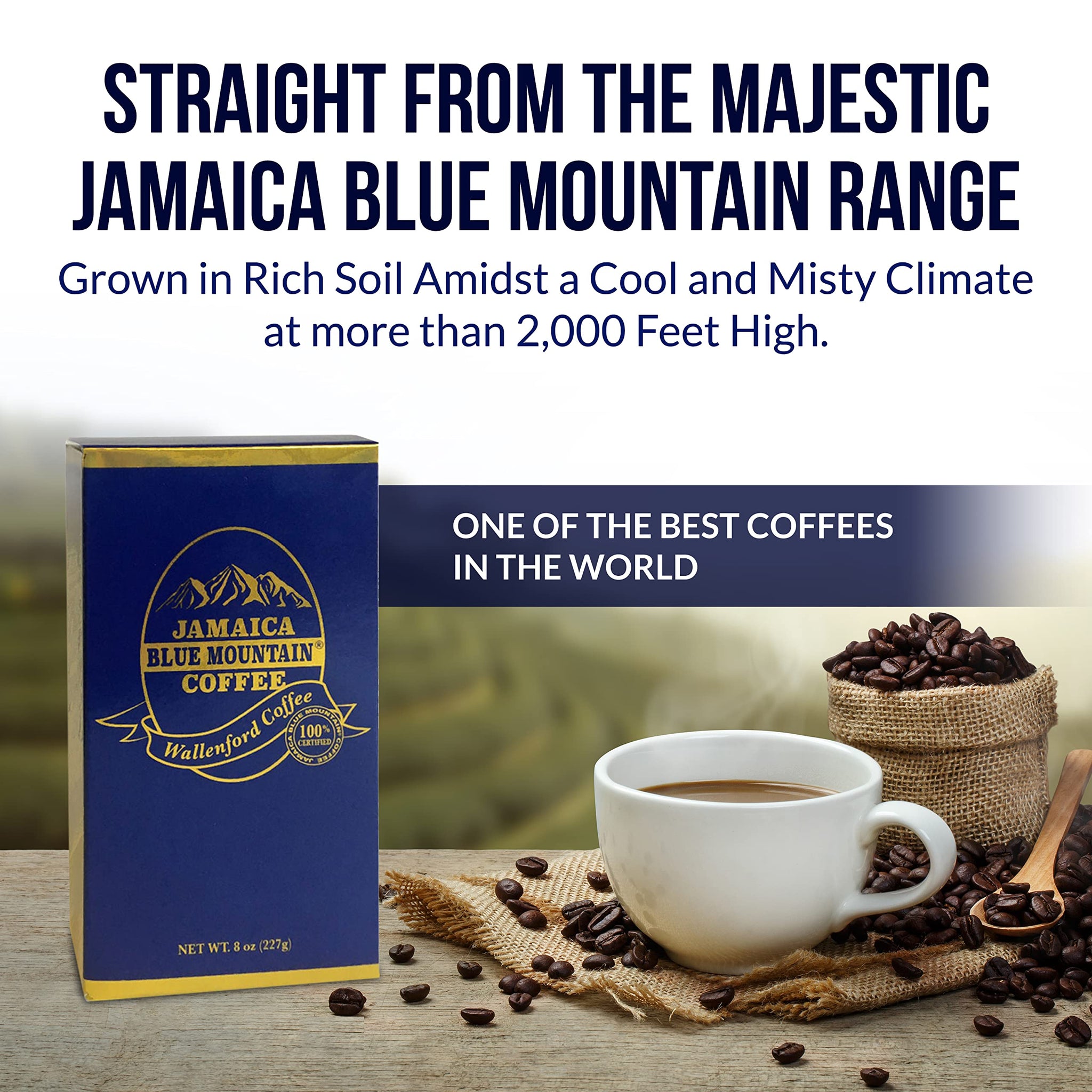 Aroma Ridge Jamaica Blue Mountain® Coffee Whole Bean 8oz Gift Box - Medium Roast Fresh Roasted in USA - 100% Pure and Authentic Jamaican Gourmet