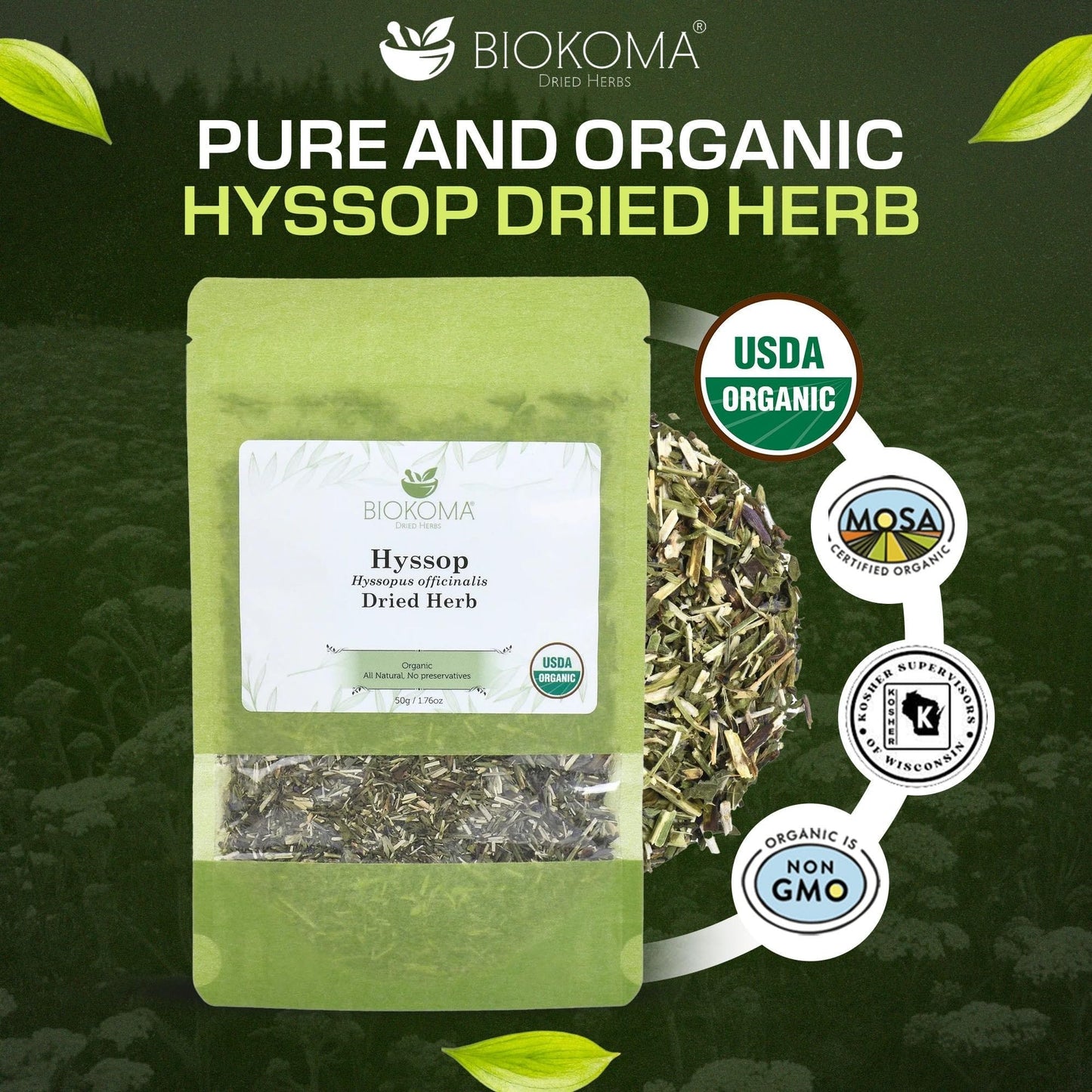 Biokoma Organic Hyssop Dried Herb 50g (1.76oz) Cut Hyssopus officinalis USDA Organic No GMO Herbal Tea Respiratory & Immune Support Resealable