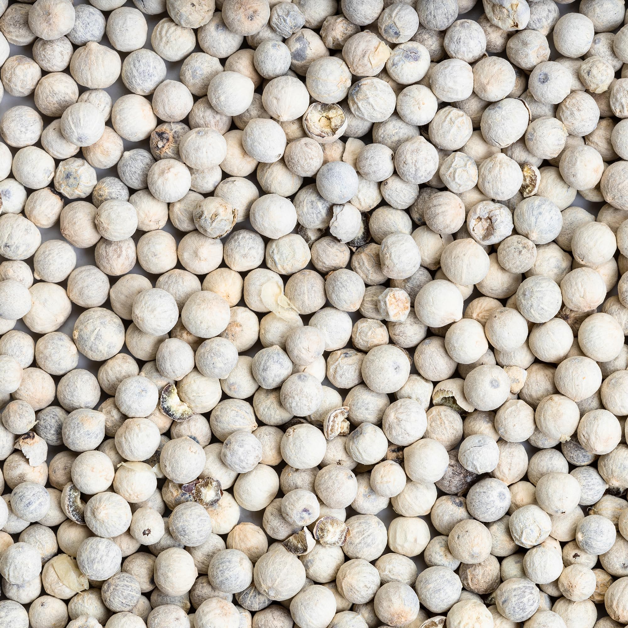 Earthborn Elements Whole White Peppercorns 1 Gallon Bucket, Mild Flavor, Bulk Size