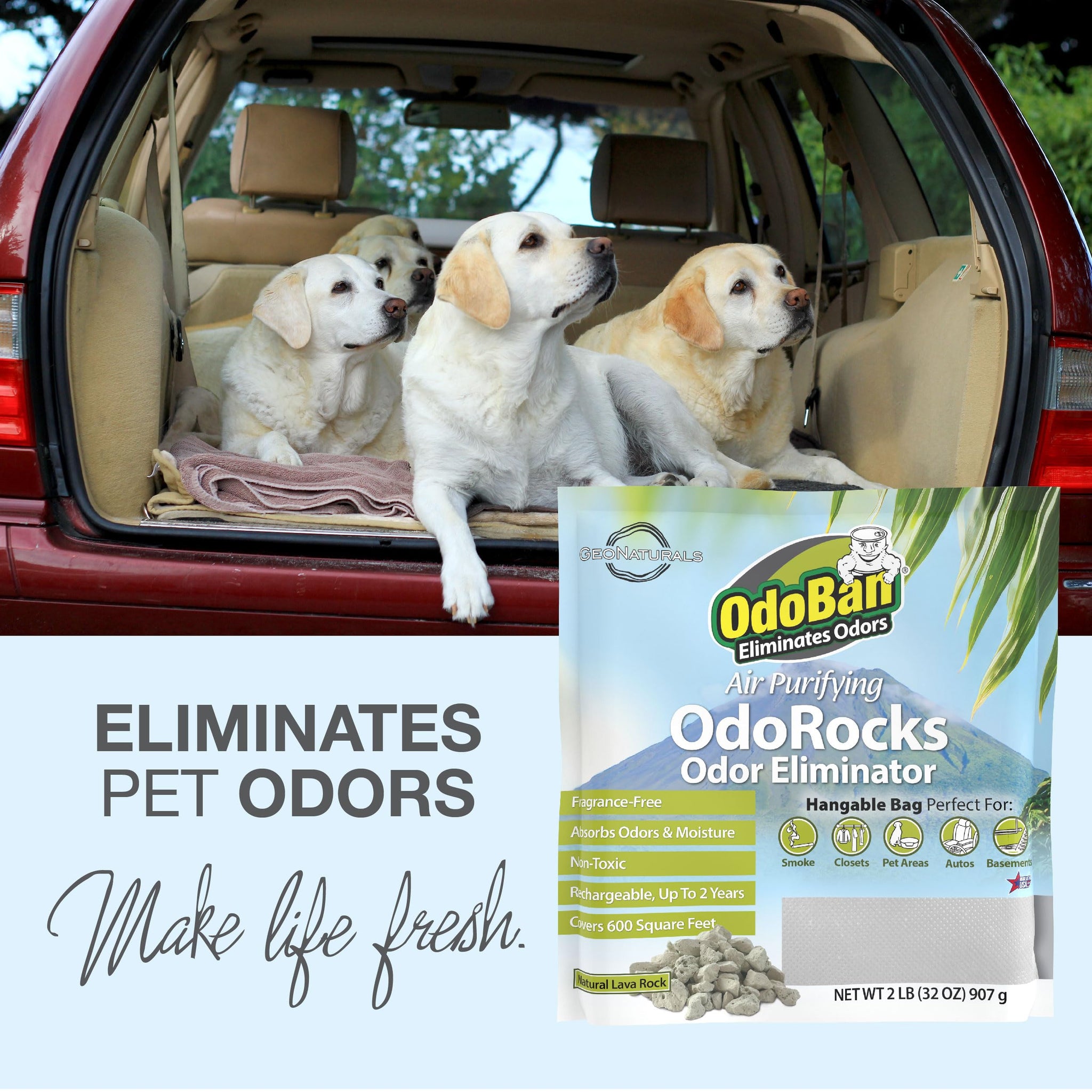 OdoBan Air Purifying OdoRocks Natural Odor Eliminator Made from Natural Volcanic Rocks, Made in the USA, Fragrance Free, 2 Pound Bag