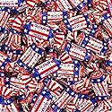 Patriotic Candy | 2-Pound Bag | 4th of July Candy | Chocolate Caramels | Red White and Blue Candies Individually Wrapped | Bulk Parade Taffies