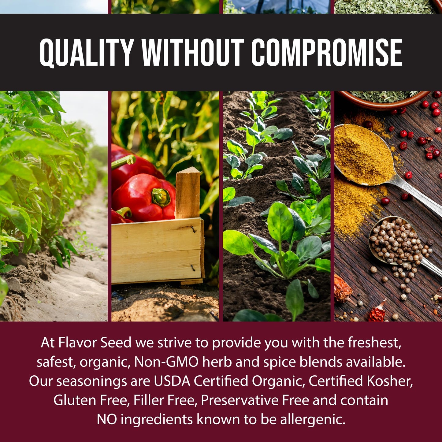 Organic Italian Seasoning, The Godfather by Flavor Seed, Mediterranean Blend of Herbs and Spices for Pasta Salad, Tomato Sauces, Pizza Toppings