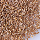 Organic Pearled Emmer Wheat - AKA: True Farro - 4 Oz - Non-GMO - Bulk Grains for Grinding Into Flour, Cooking & More