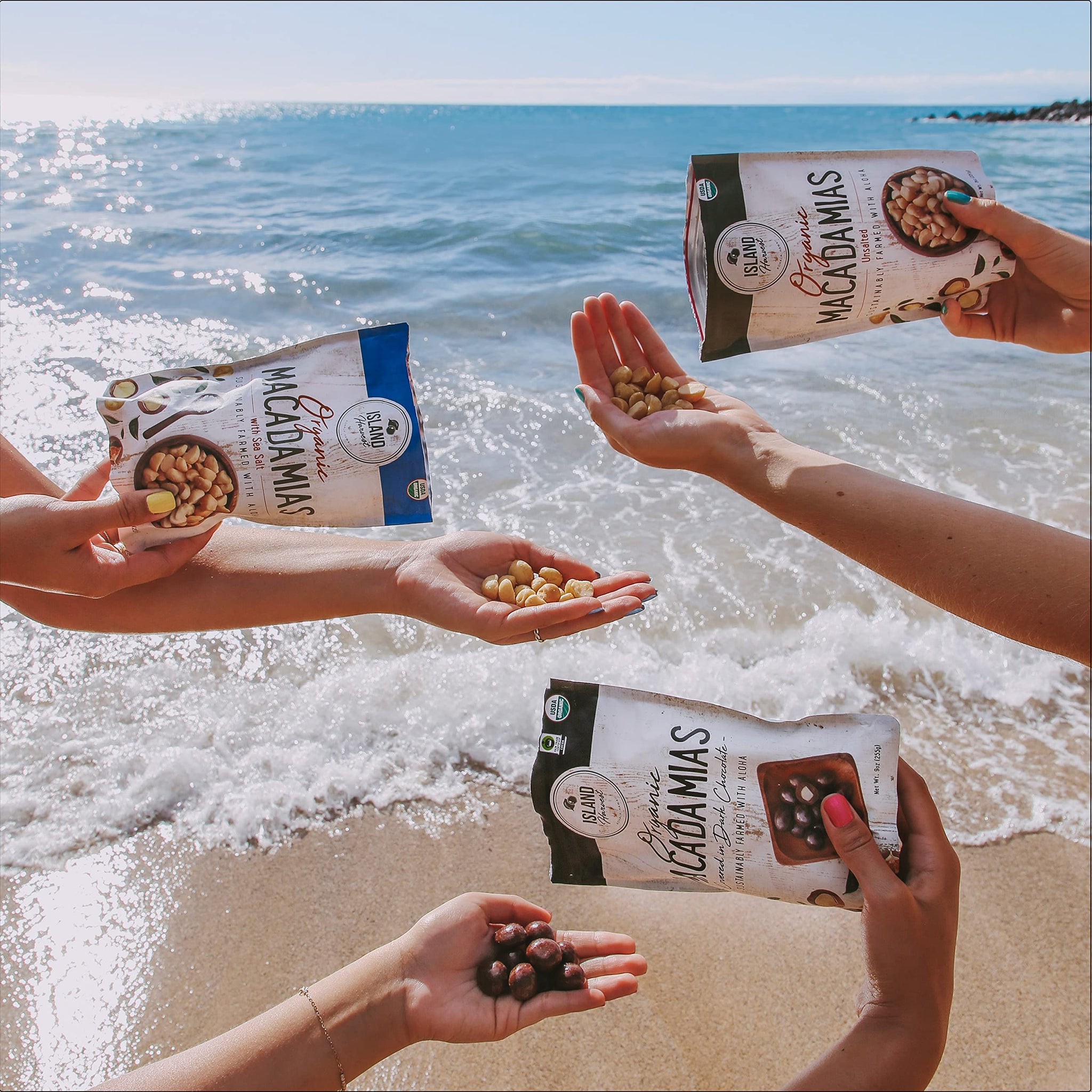 Island Harvest Organic Macadamia Nuts with Sea Salt - 100% Hawaiian Keto Friendly Nuts; All-Natural Non-GMO Macadamia Nuts Salted; Dry Roasted Nuts