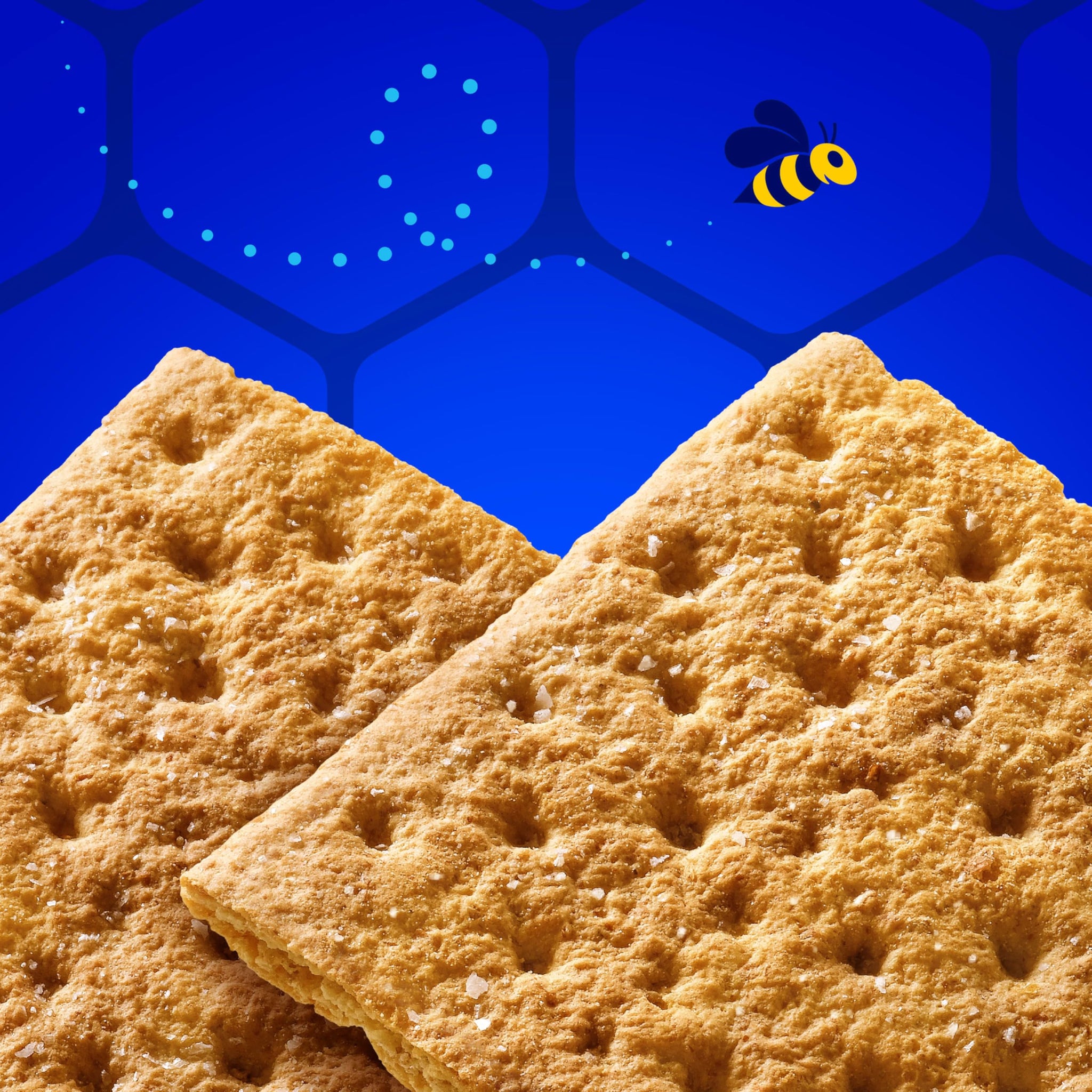 HONEY MAID Fresh Stacks Salted Caramel Graham Crackers, Limited Edition, Travel Snacks, 12.2 oz (6 Multi Snack Packs)