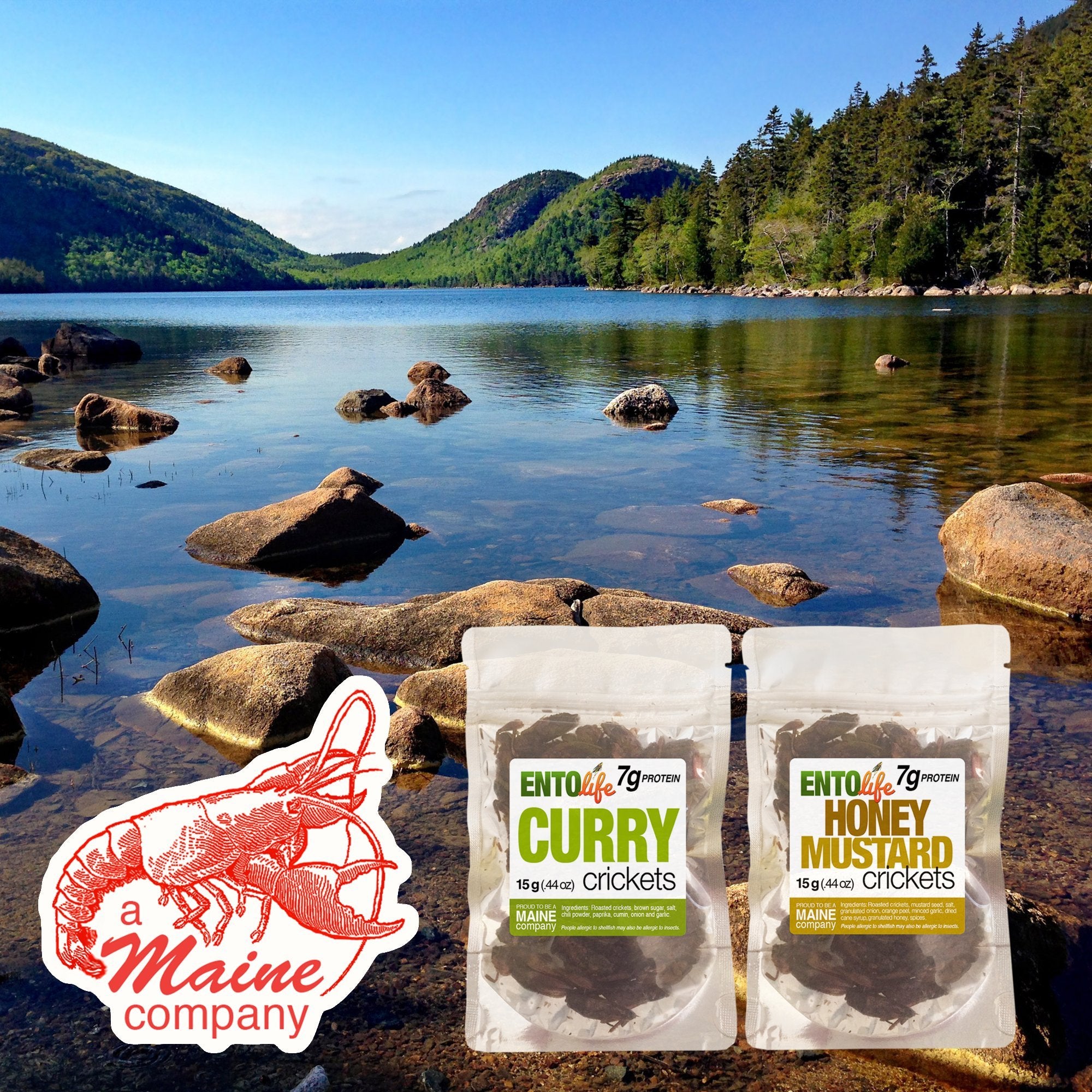 Roasted Edible Crickets - Chocolate Coffee - New Larger Size
