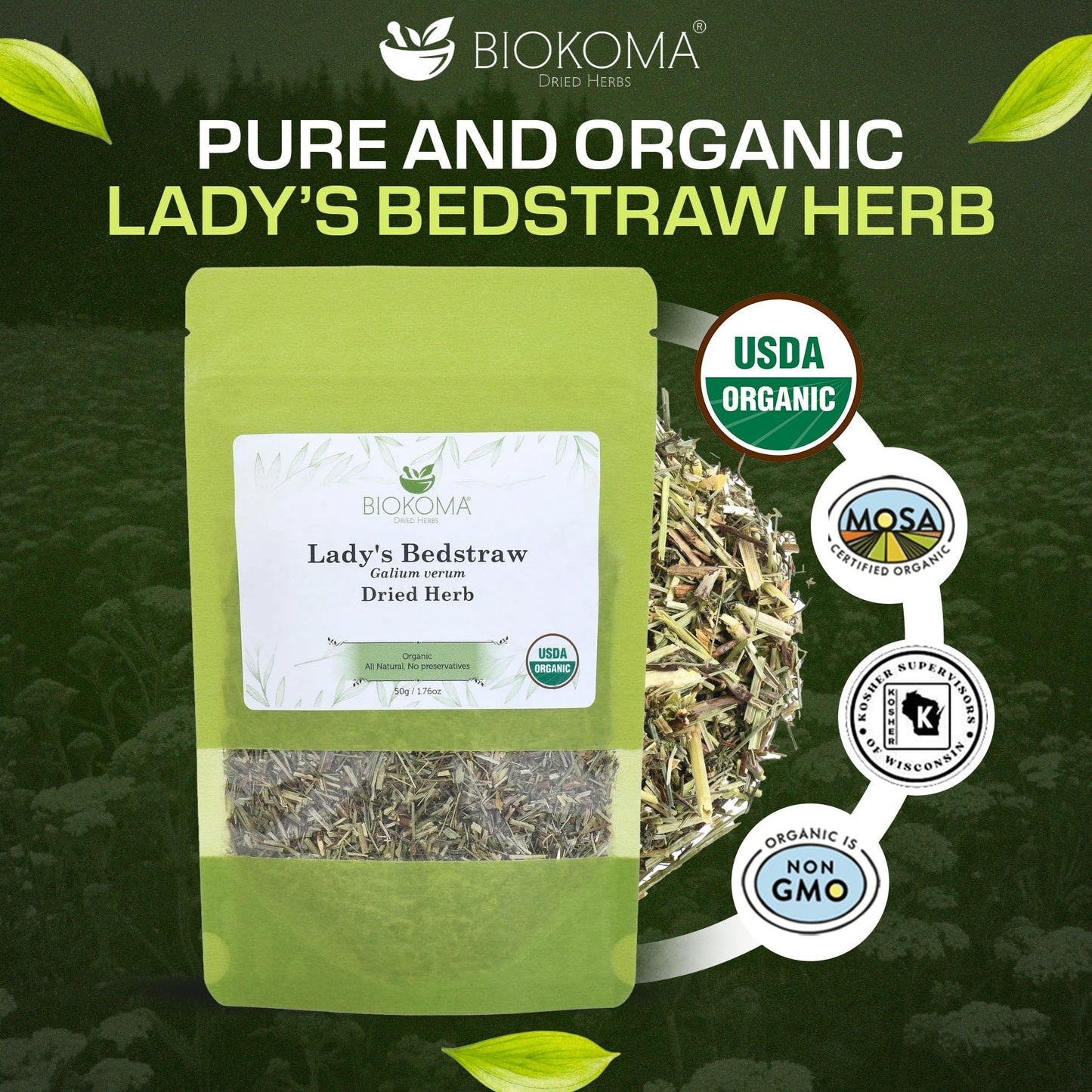Biokoma Organic Lady's Bedstraw Dried Herb 50g 1.76oz Premium Galium Verum USDA Organic Herbal Tea Lymphatic Kidney Support Resealable Pouch No