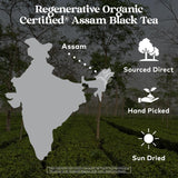 Organic India Purely Assam Black Tea - Caffeinated Herbal Tea Bags with Natural Assam Leaves, Enjoy with Milk & Sweetener, USDA Organic, Non-GMO