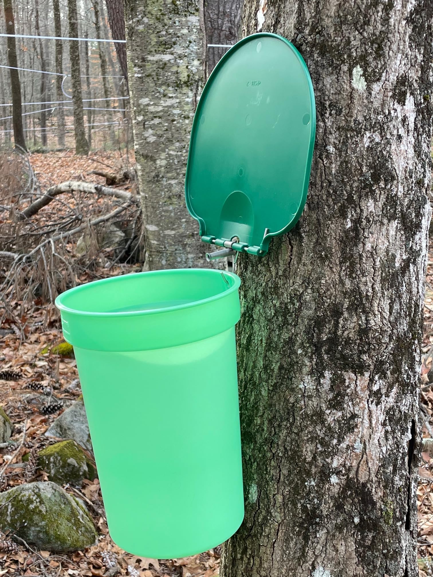 Liberty Supply Premium Maple Syrup Kit - 3 Buckets w/Lids, 3 Stainless Taps, Tapping Bit, 2 Filters & Guide to Maple Sugaring