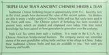 Triple Leaf Tea, Inc Tea, Jasmine Green, Decaf, 20-Count (Pack of 6)
