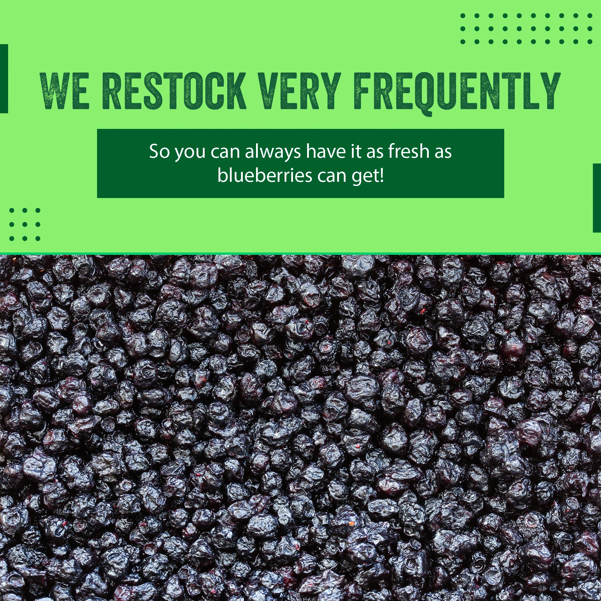 Dried Blueberries 2 lb (32 oz) - Gluten-Free & Peanut-Free, Slightly Sweetened - Great for Baking & Snacking - Berries with Benefits