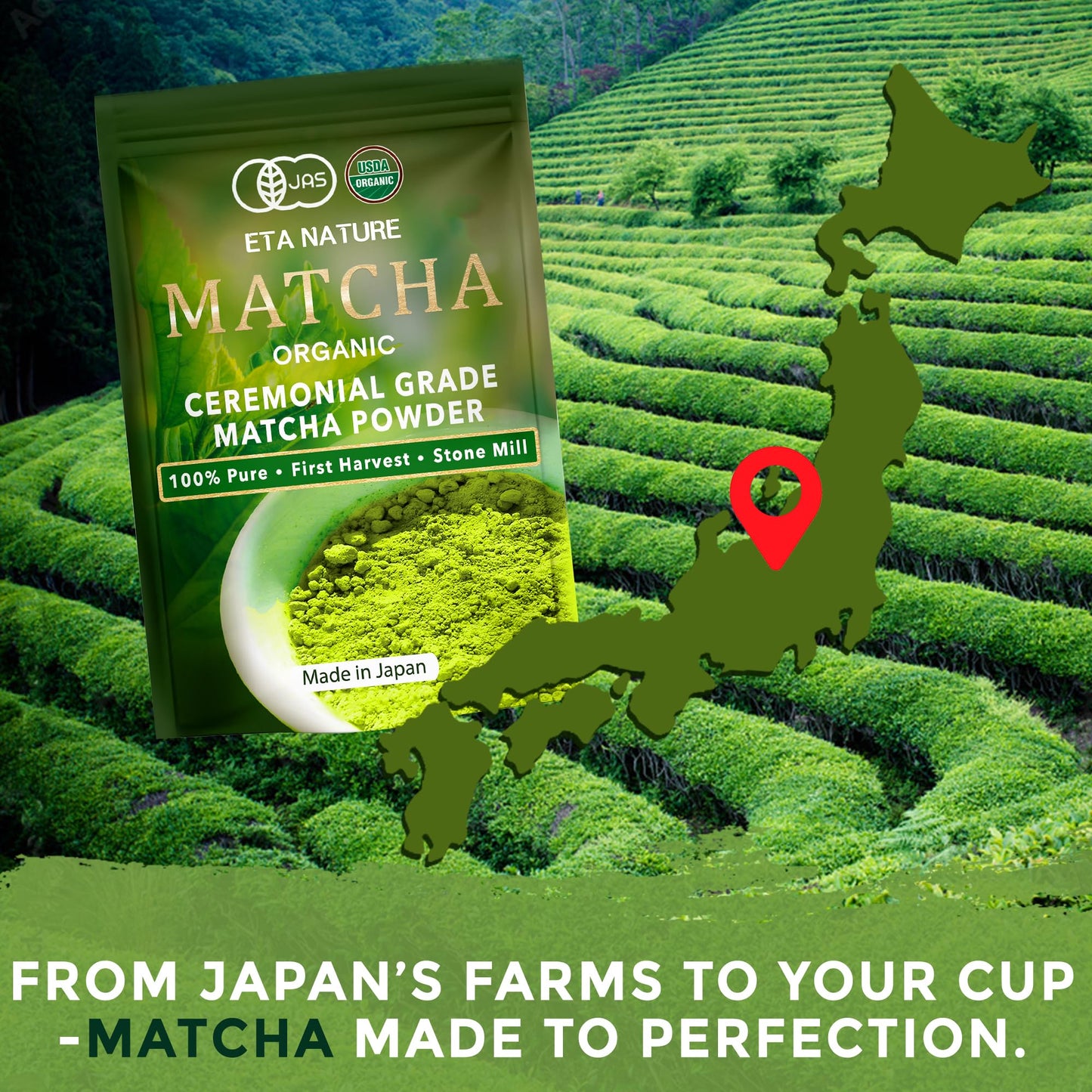 ETANATURE Premium Ceremonial Grade Matcha Powder - Matcha Green Tea Powder for Metabolism, Brain and Sleep - JAS Certified Matcha Grade from Japan