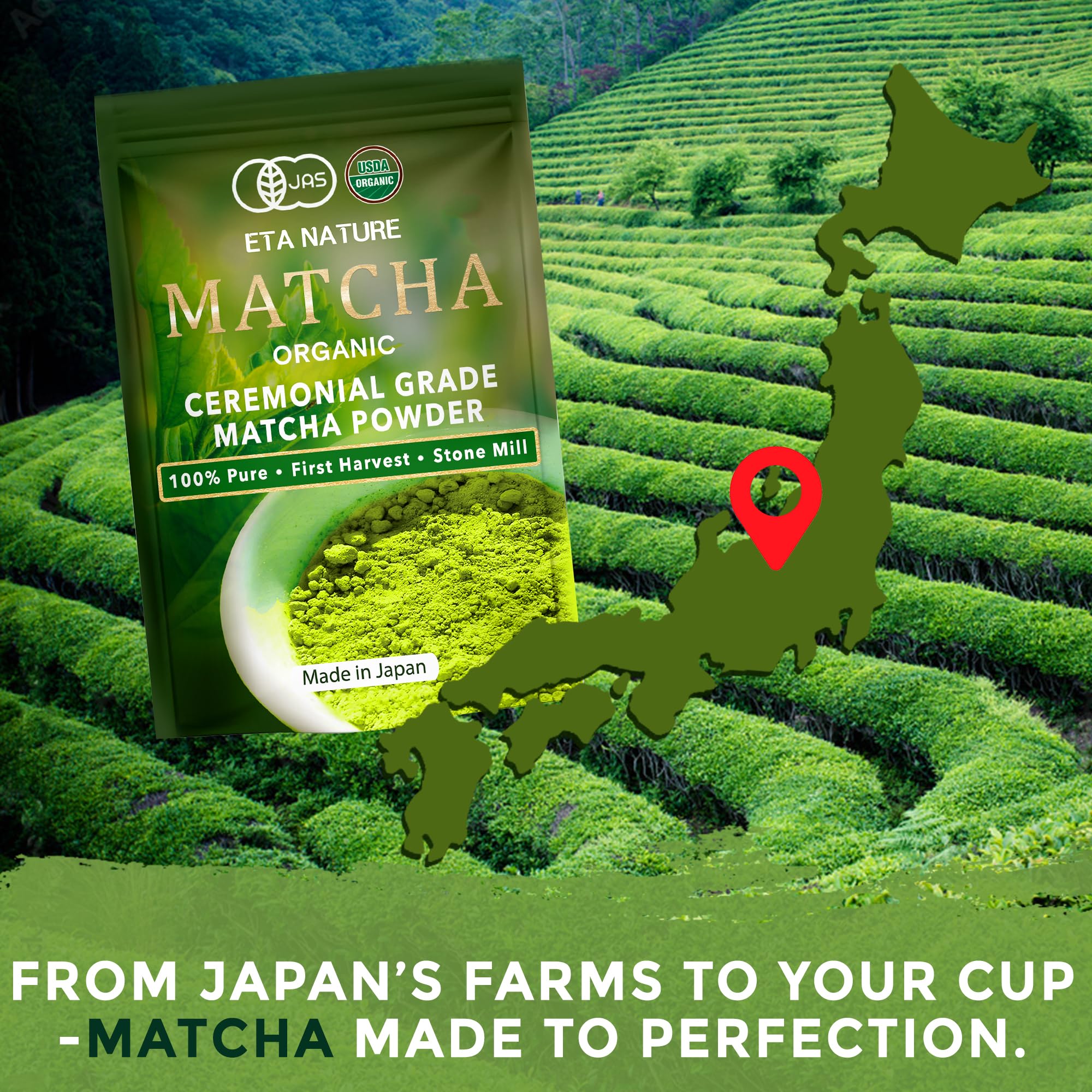 ETANATURE Premium Ceremonial Grade Matcha Powder - Matcha Green Tea Powder for Metabolism, Brain and Sleep - JAS Certified Matcha Grade from Japan