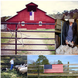 Six Eco-Friendly Wool Dryer Balls Free Eco-Felt Gift Bag, Handmade in America, Natural and Unscented, (Baby Pink)