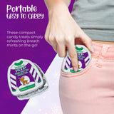 4E's Novelty Humorous "Christmas Poop" Candy Breath Mint Tins, 4 Pack Ugly Sweater Tins Funny Christmas Candy Stocking Stuffer for Kids Teens Adults