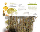 Oregano Bunches 2oz bag | Imported from Greece | Aromatic Herbs