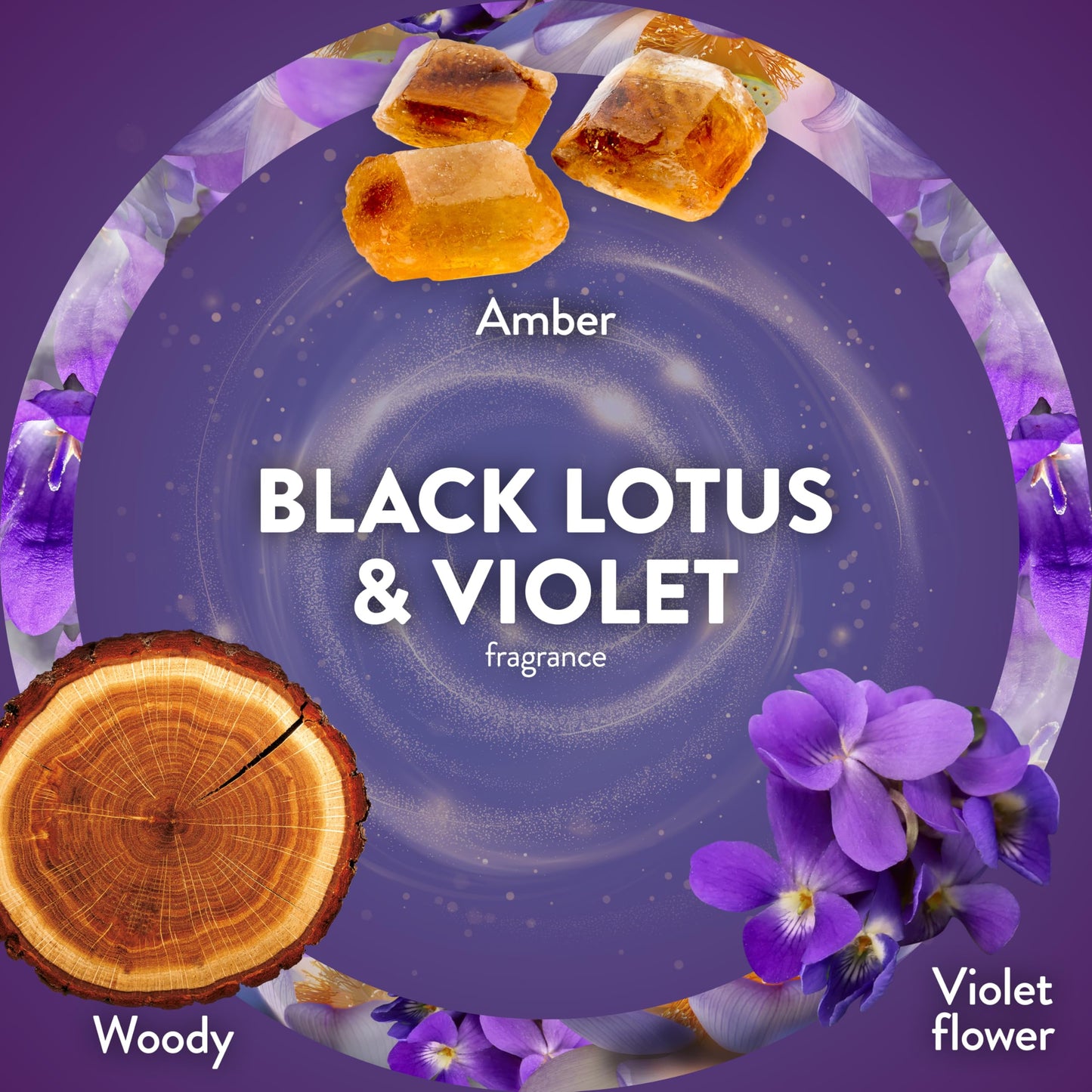 Air Wick Scented Oils 0+4 Black Lotus & Violet