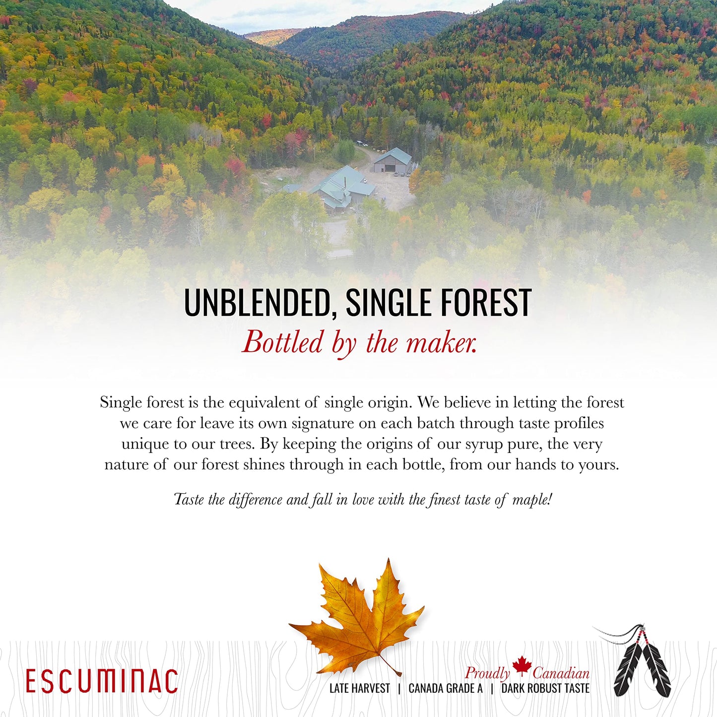 Escuminac Very Dark Canadian Maple Syrup Family Size 1L (33.8 fl oz) Canada Grade A - Strong Taste For Cooking - Pure, Organic, Single Origin