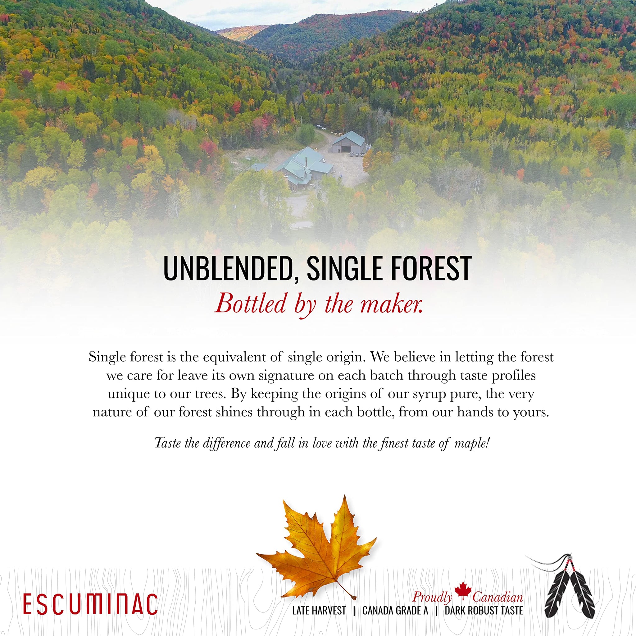 Escuminac Very Dark Canadian Maple Syrup Family Size 1L (33.8 fl oz) Canada Grade A - Strong Taste For Cooking - Pure, Organic, Single Origin