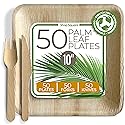 Compostable Square Palm Leaf Plates 10 Inch with Forks & Knives (50 Each) - Like Bamboo Plates, Disposable Party Plates, Biodegradable, Eco-Friendly