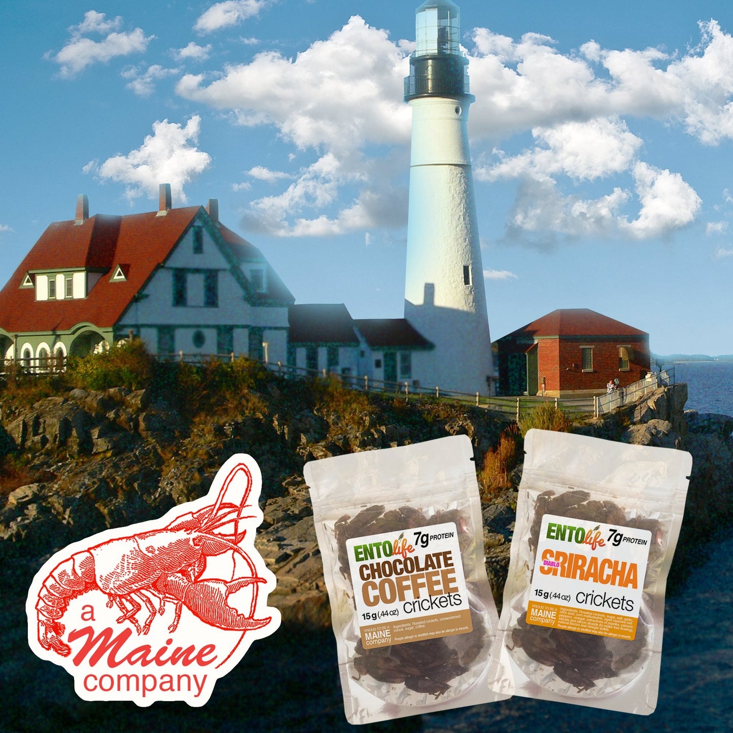 EntoVida Roasted Edible Crickets - Sriracha - New Larger Size