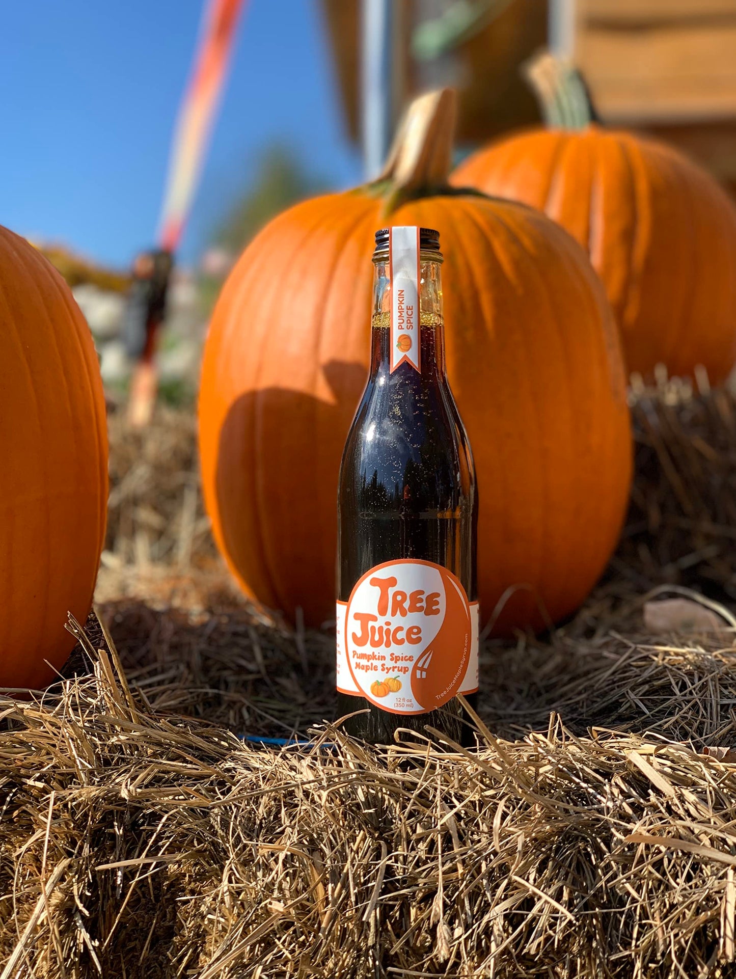 Tree Juice Pumpkin Spice Maple Syrup | All Natural, Non GMO, Vegan, Gluten Free, Vegetarian, Paleo | 12 Ounce Bottle