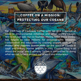 Castaway Coffee Monsoon Malabar K-Cup Pod 12 Count