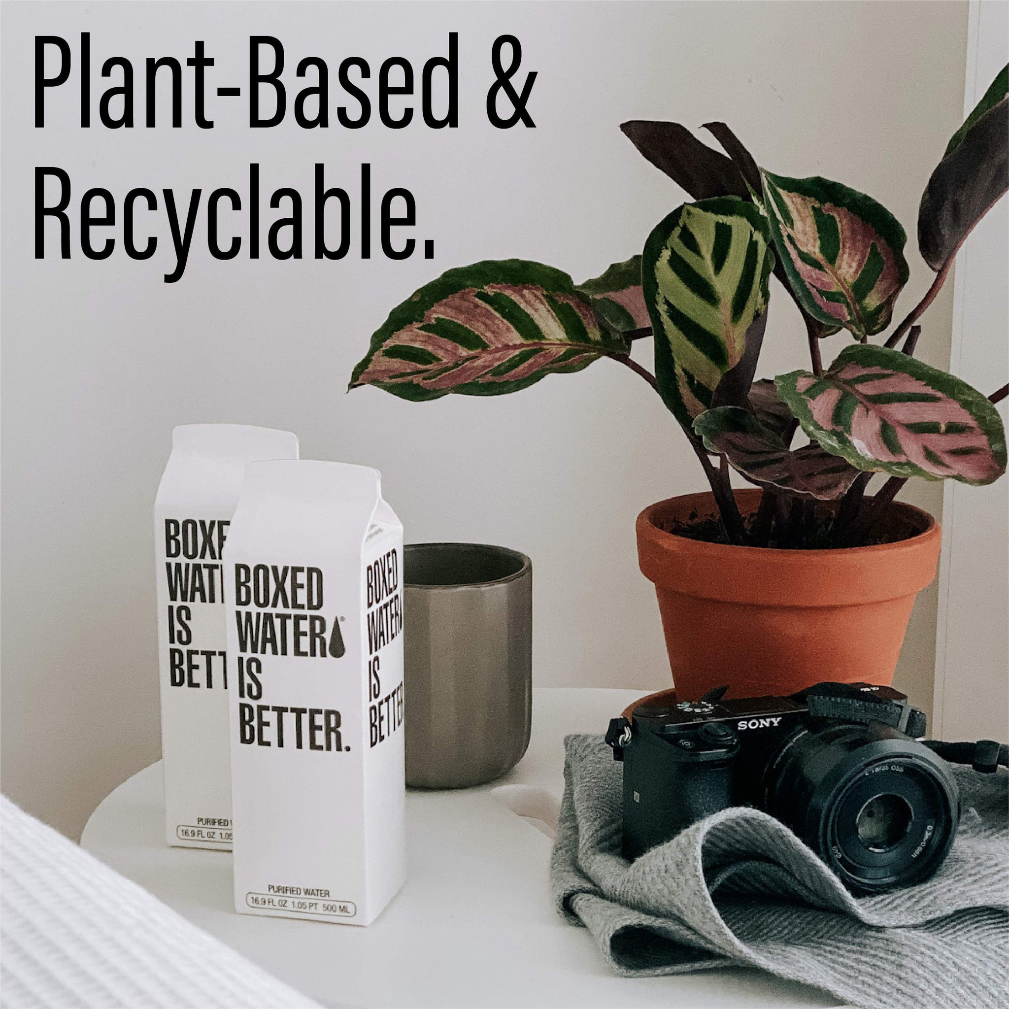 Boxed Water 16.9 oz. (12 Pack) - Purified Drinking Water in Plant-Based Cartons - BPA-Free, Refillable, Reusable - More Sustainable than Premium