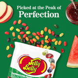 Jelly Belly Farmstand Fruit Jelly Bean Mix - 1 Pound (16 Ounces) Resealable Bag - Genuine, Official, Straight from the Source