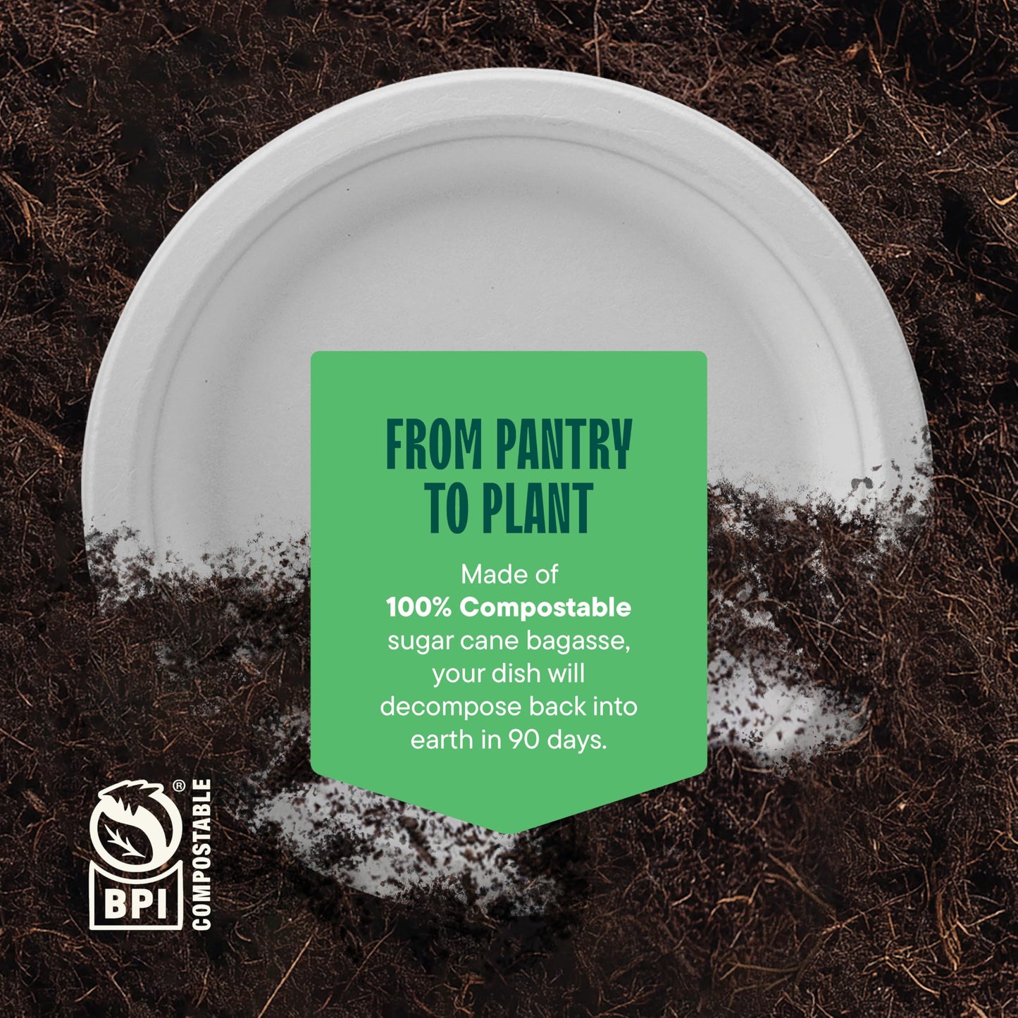 100% Compostable Paper Plates 9 Inch [500 Count] Heavy-Duty Dinner Plates - White Bagasse - Eco-Friendly Disposable Biodegradable Sugarcane Plates