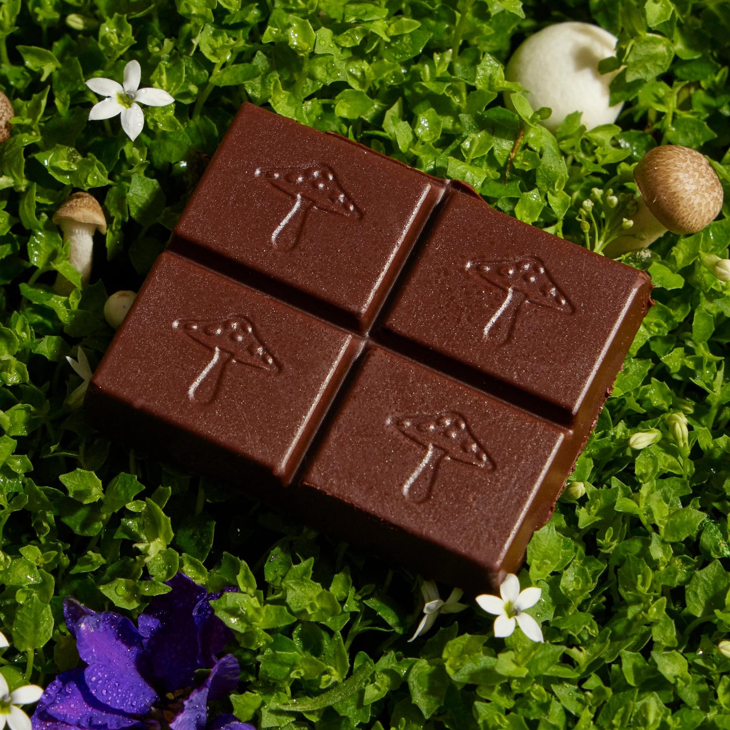 Alice Mushrooms Happy Ending | Sensual Mushroom Chocolates | Improves Mood, Performance, Vitality, Energy and Engagement | Cordyceps, Ashwaganda
