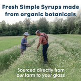 Bluestem Botanicals Organic Triple Mint Simple Syrup, Mother Day Gift from Daughter, 8 oz, Cocktail and Mocktail Mixer, Non-Alcoholic, Peppermint