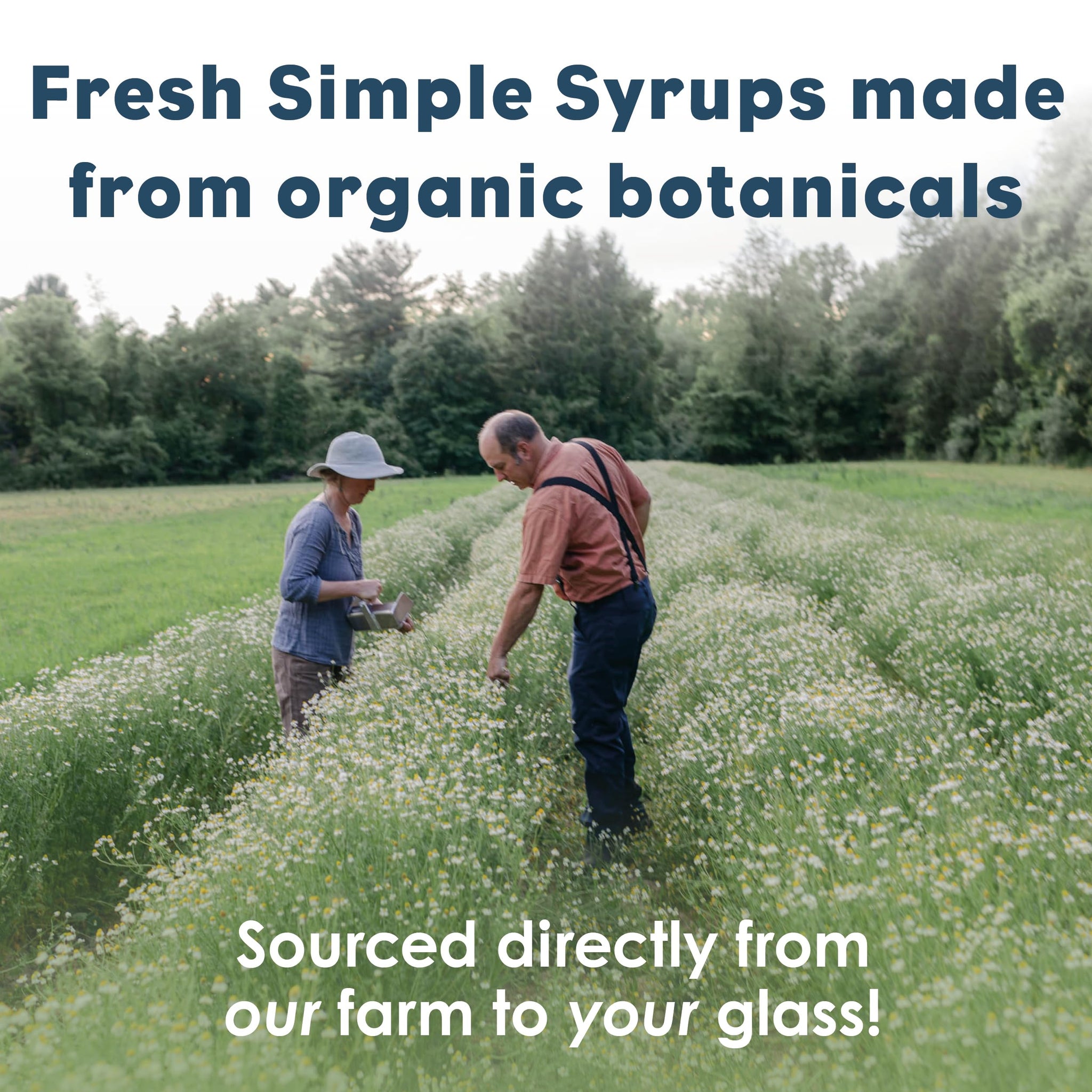 Bluestem Botanicals Organic Triple Mint Simple Syrup, Mother Day Gift from Daughter, 8 oz, Cocktail and Mocktail Mixer, Non-Alcoholic, Peppermint
