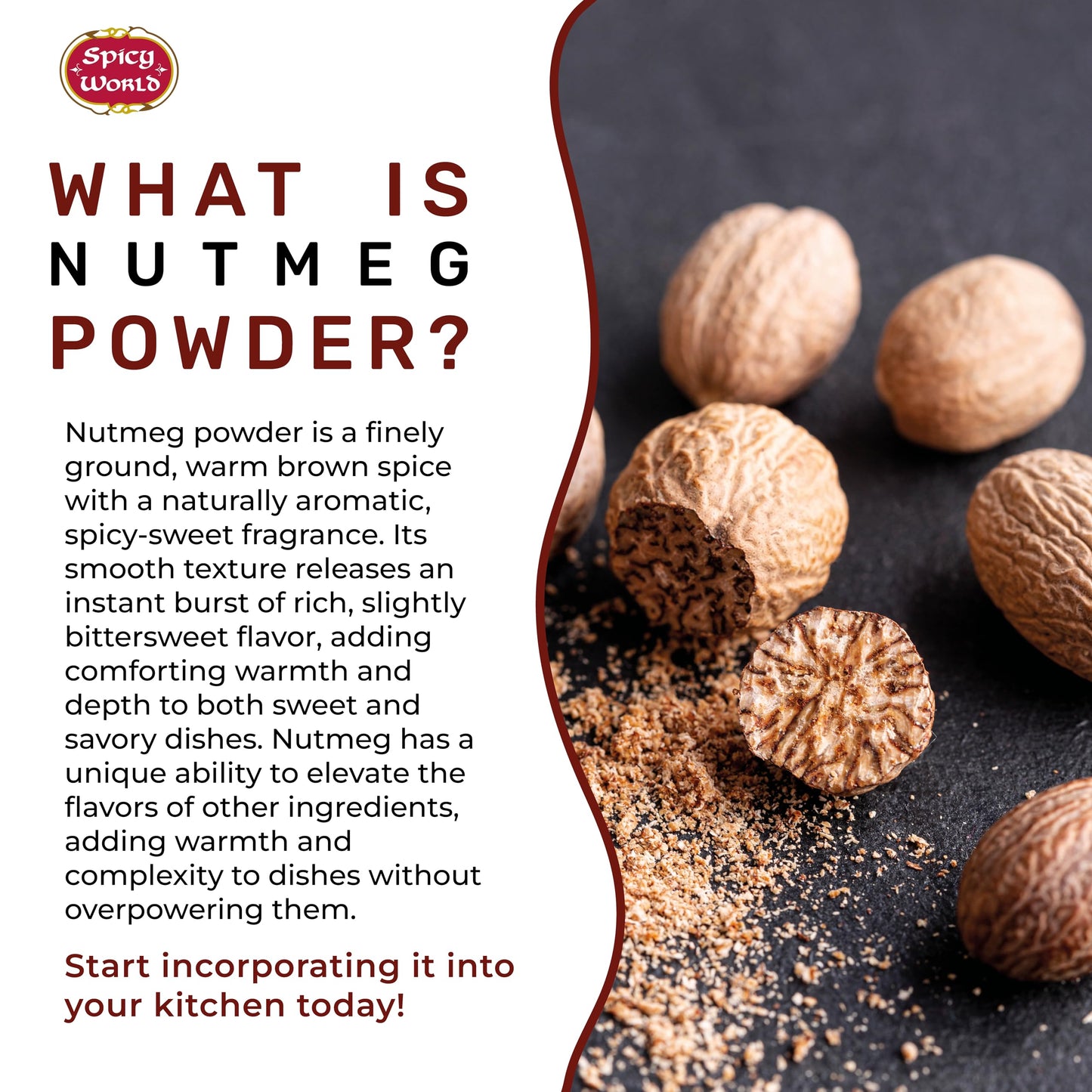 Spicy World Nutmeg Powder 5 LB Bulk Jar - Premium Quality, Ground Nutmeg Whole, Perfect for Commercial Baking, Cooking, Smoothies, Lattes & Desserts