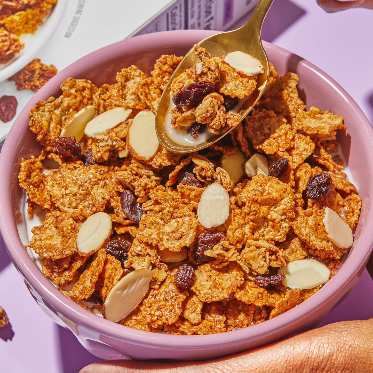 Purely Elizabeth, Cereal Oatmeal Raisin 11Oz, 11 Ounce