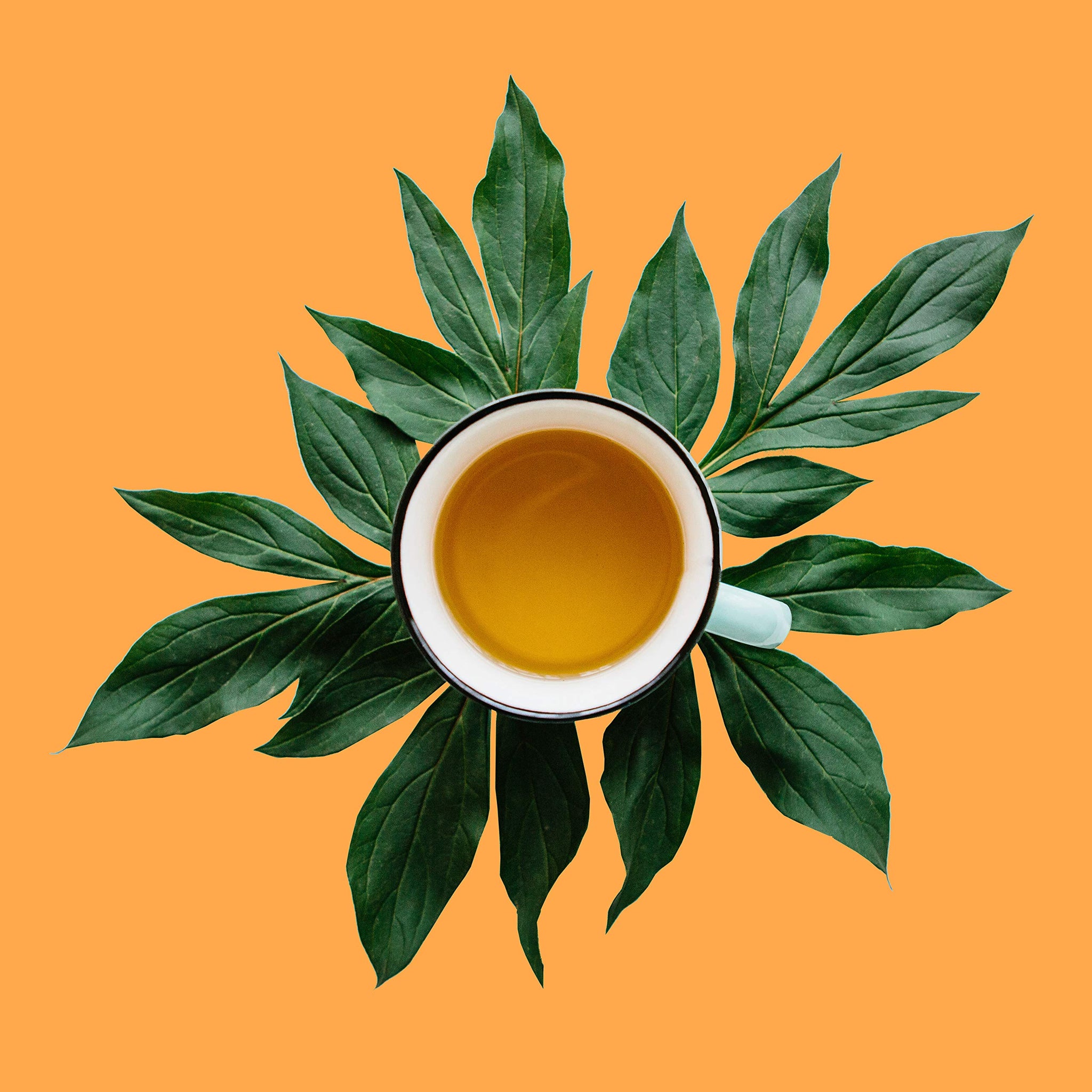 The Spice Hut Organic Shimla Chai Loose Leaf Tea, 8 oz