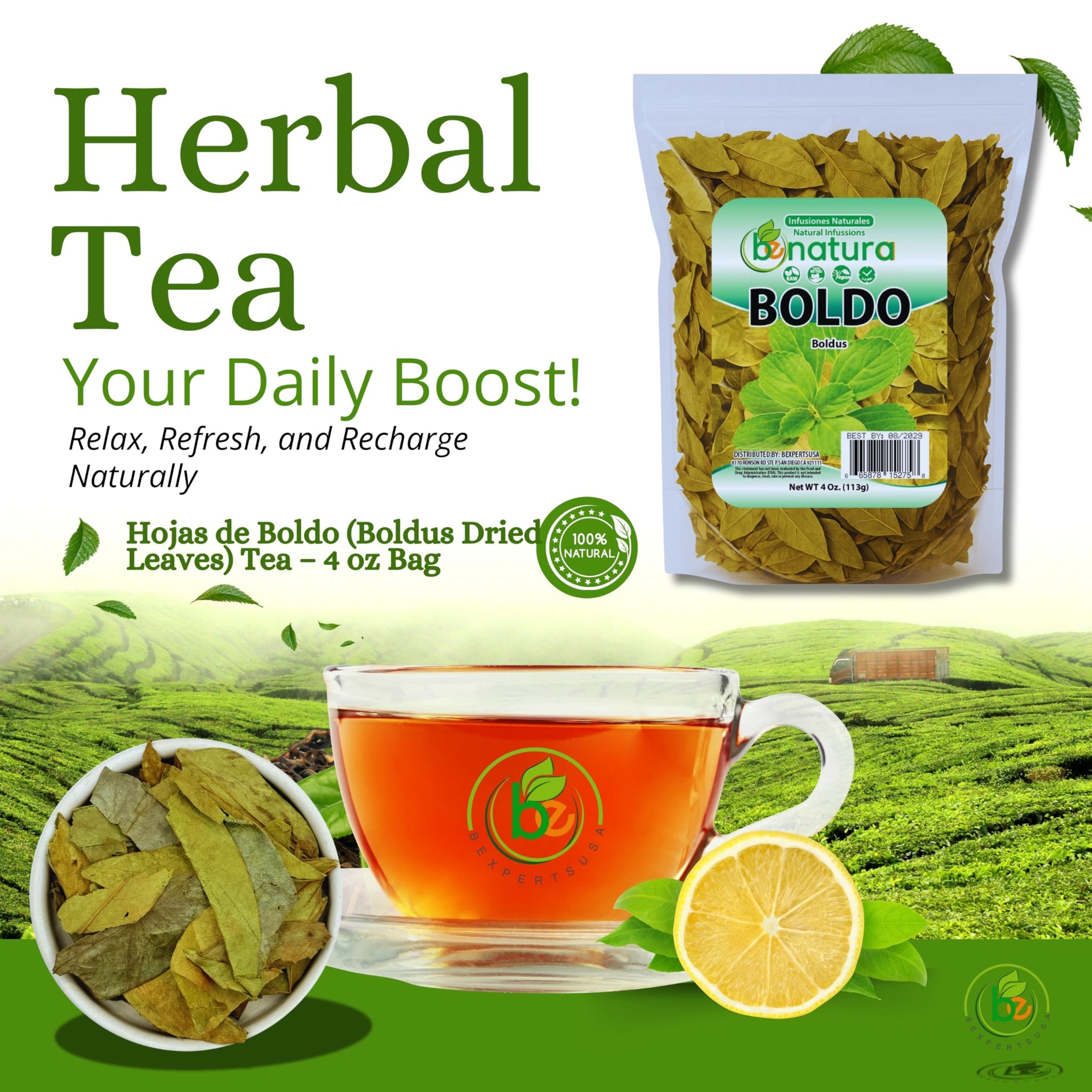 Hojas de Boldo (Boldus Dried Leaves) Tea - 4 oz Bag - 100% Natural, Vegan, Non-GMO - Herbal Tea for Infusion - Natural Detox Support - Packaged in USA