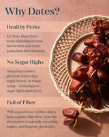 Spring & Mulberry Dark Chocolate Bars - Healthy Dark Chocolate, Date-Sweetened - Pecan Date 6 Pack