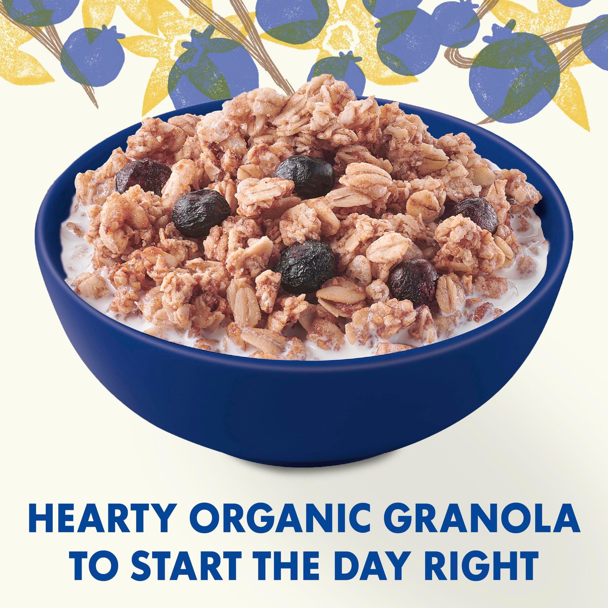Cascadian Farm, Granola Blueberry Vanilla No Added Sugar, 11 Ounce
